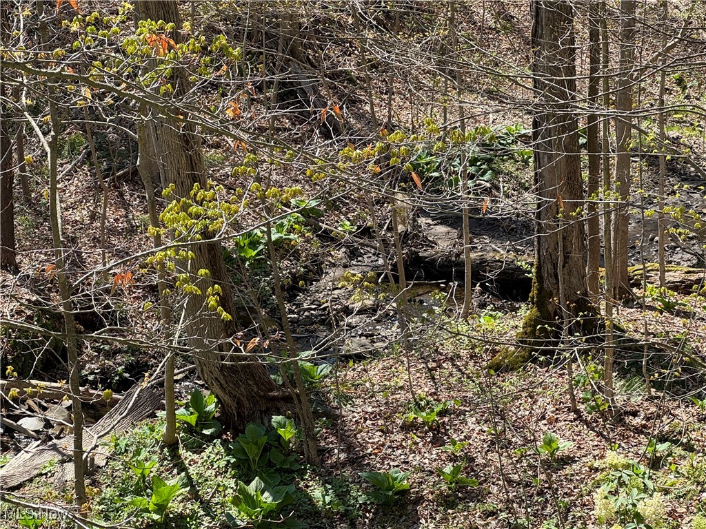 12200 Kile Road, Chardon, Ohio image 43