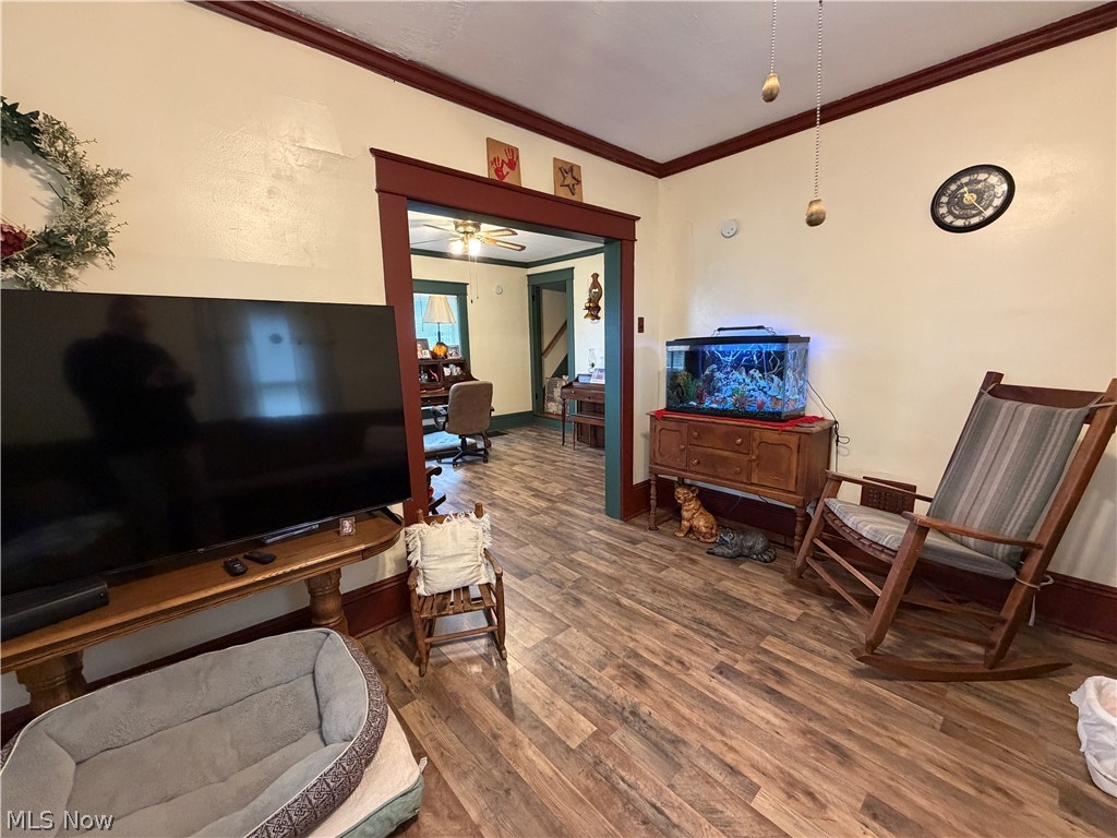 Glass Plants Pleasant View Add - Residential