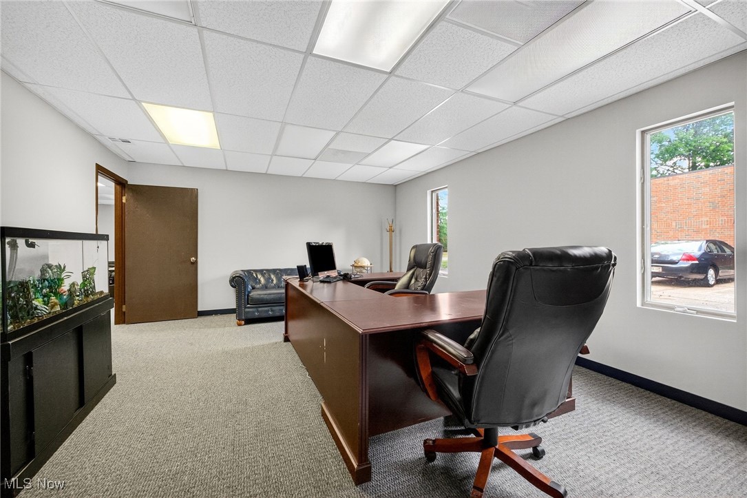 Mentor, Ohio 44060, United States, ,Commercial,Active,199583