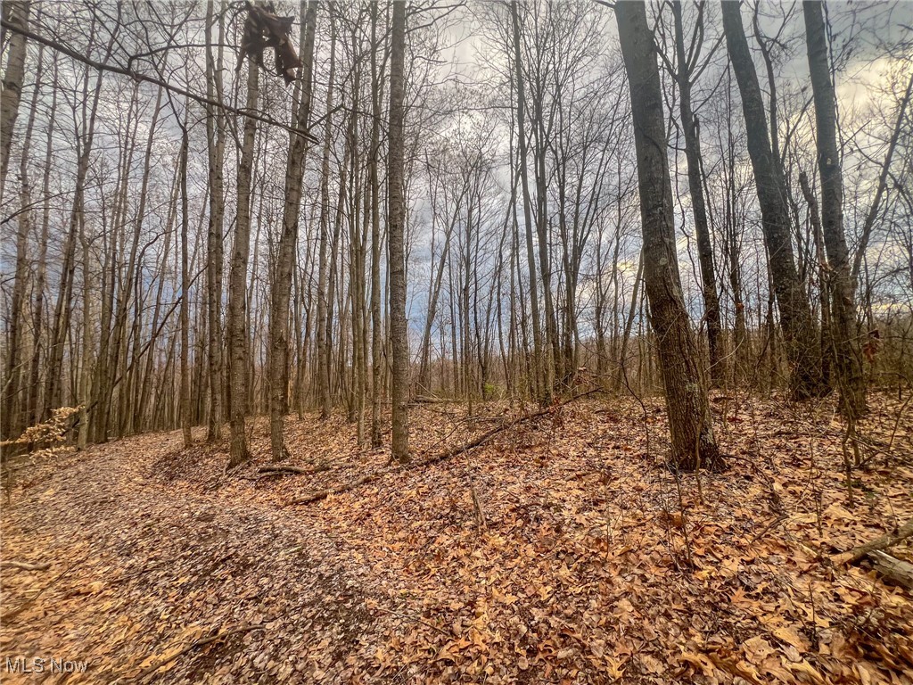 Ponetown Rd, Ray, Ohio image 5