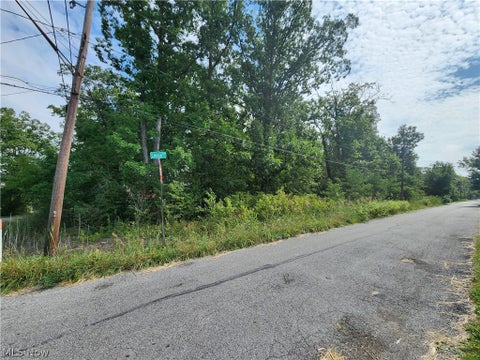 Vacant Land For Sale - 3841 Lorain Avenue<br/> Lorain, OH 44055