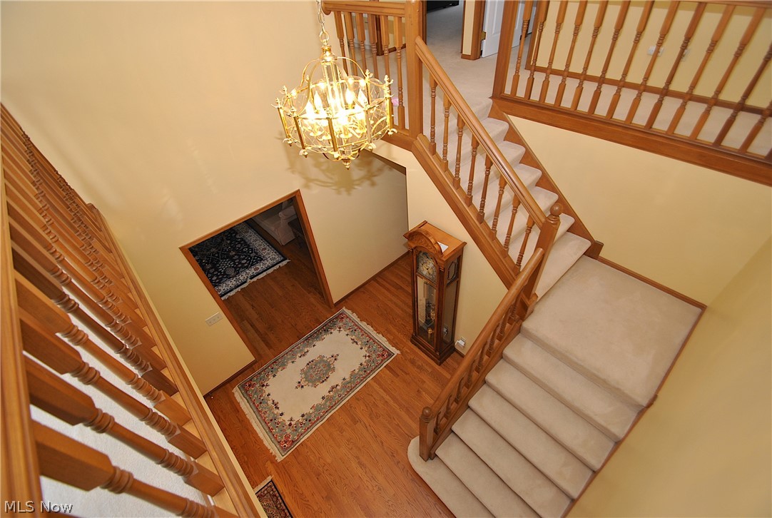 Highland Woods Northeast - Residential