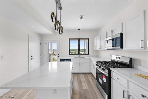 Tiny photo for 1295 Holmden Avenue, Cleveland, OH 44109 (MLS # 5239430)
