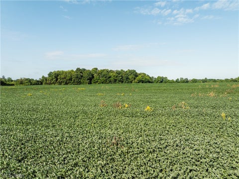 Vacant Land For Sale - Sycamore Road<br/> Centerburg, OH 43011
