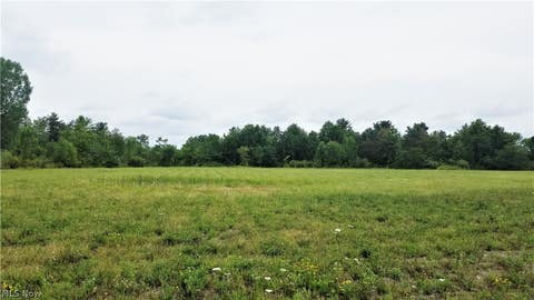 Photo for Center Road