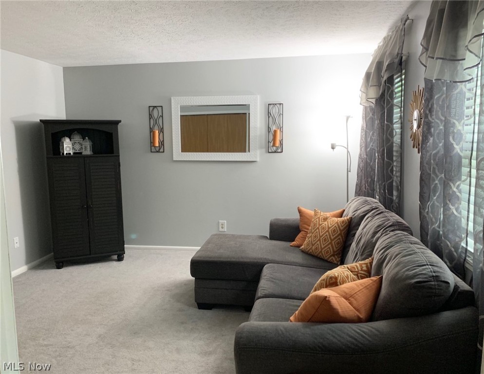 Courtyards Woodbury Condo - Residential