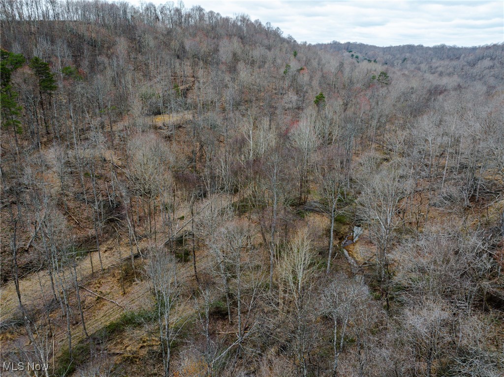 V/L Haney Road, Wheelersburg, Ohio image 3