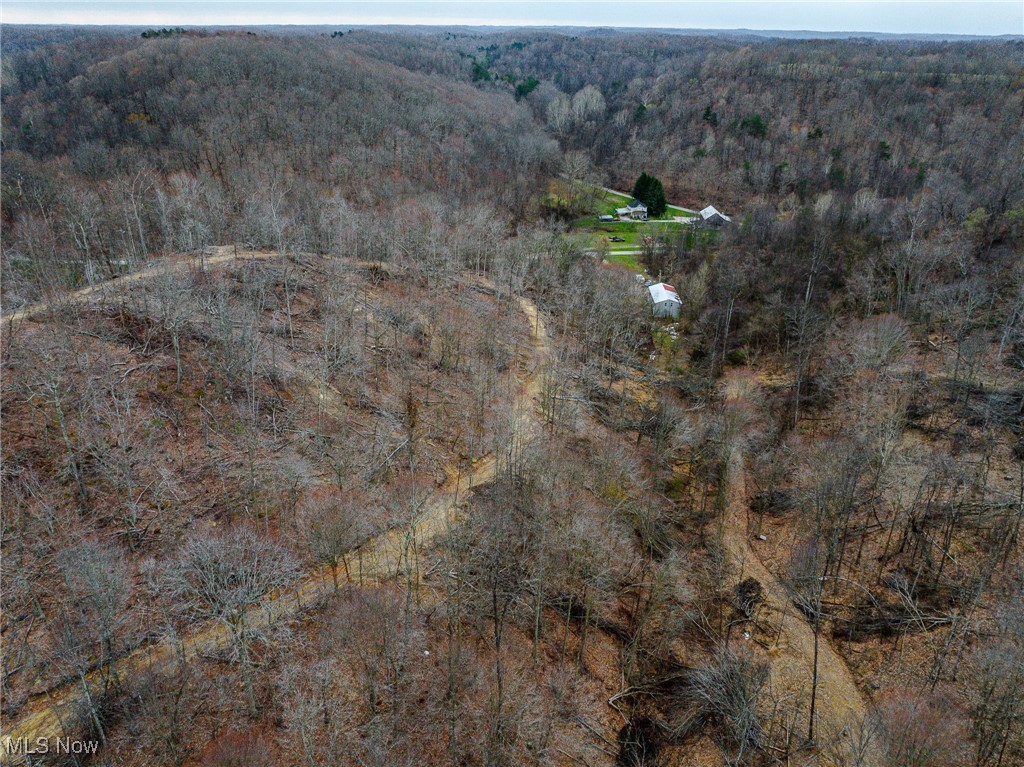 V/L Haney Road, Wheelersburg, Ohio image 6