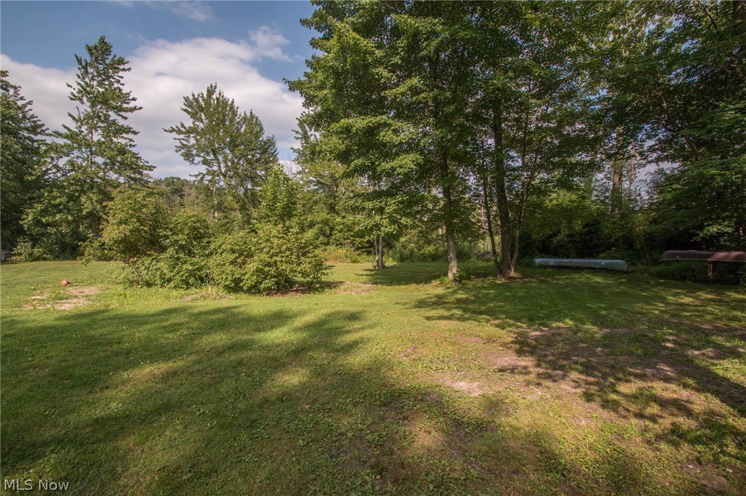 Muzzy Lake - Residential