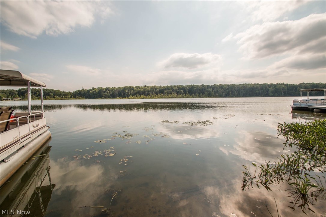 Muzzy Lake - Residential
