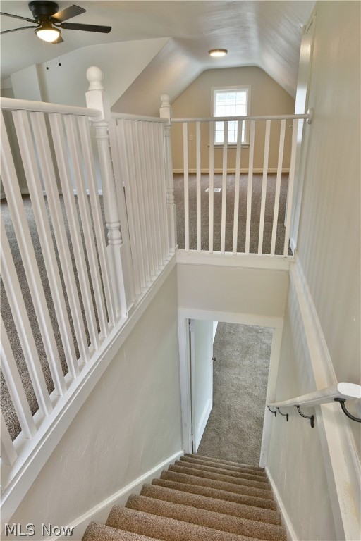 Elmwood - Residential