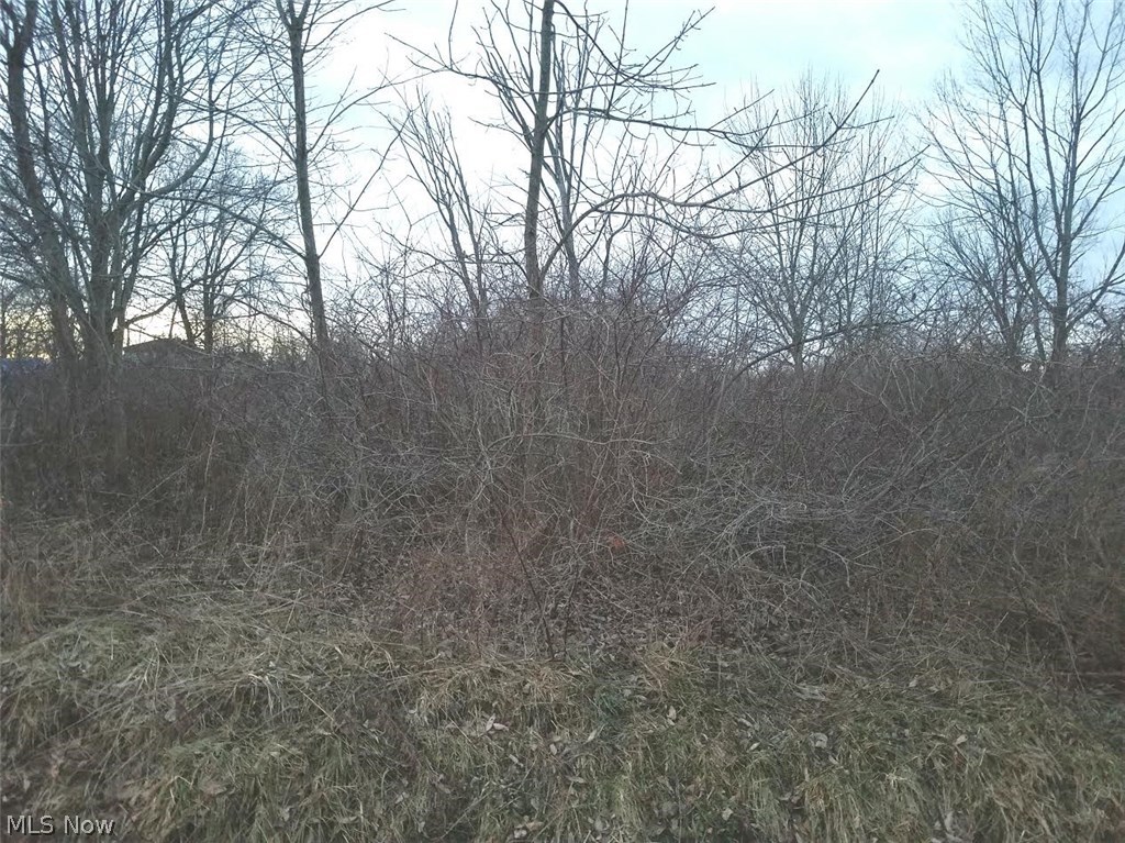 Pymatuning Acres Allotment - Land
