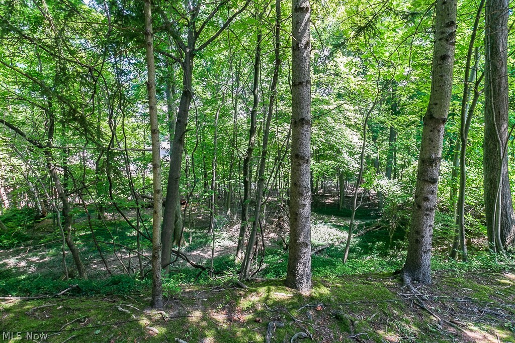 Ramblewood Condo - Residential