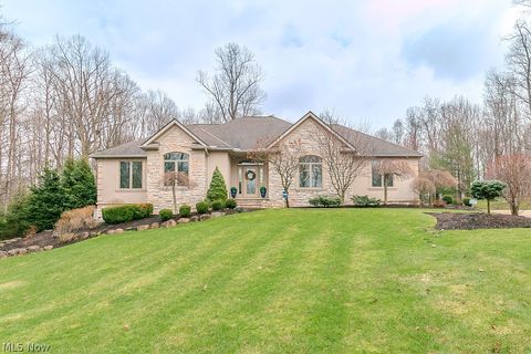 11565 Robin Wood Lane Chagrin Falls OH 44023