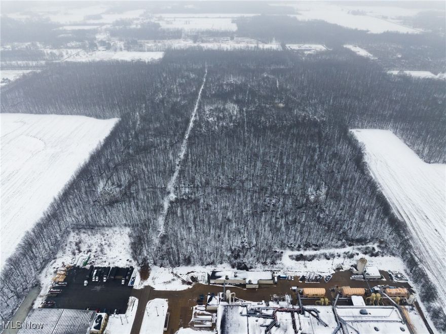 They say location is everything in real estate, and this exceptional 72+ acre wooded property on the edge of Orwell, Ohio proves just that. Situated at the end of a street near commercial businesses, it offers a rare blend of privacy and convenience, making it ideal for a secluded residential tract while still being close to town amenities. Bordering the Western Reserve Greenway bike trail and featuring internal trails, abundant wildlife, and a small pond, this land provides the perfect setting to build a dream family or weekend getaway lodge. It’s a truly special opportunity to let your vision come to life in the heart of Ashtabula County.