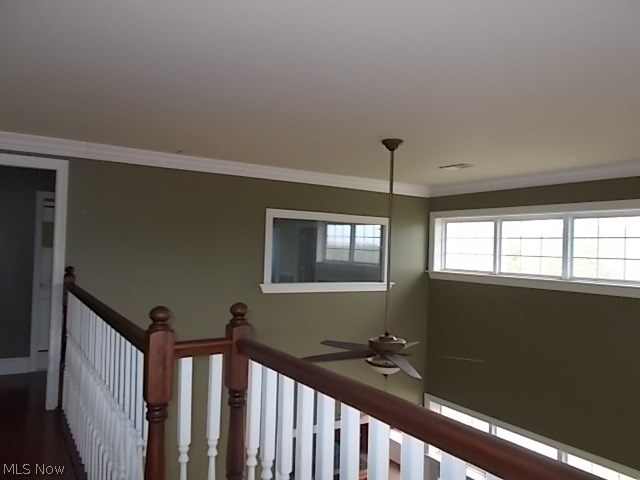 Shannon Road - Residential