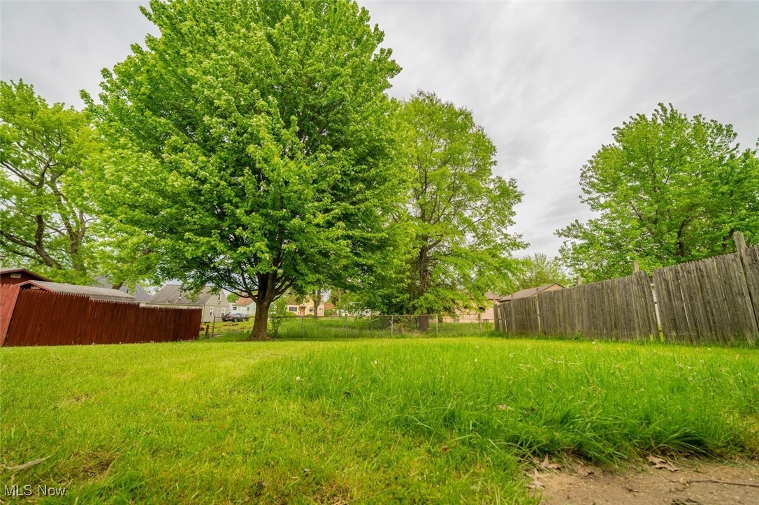459 N Osborn Avenue, Youngstown, Ohio image 47