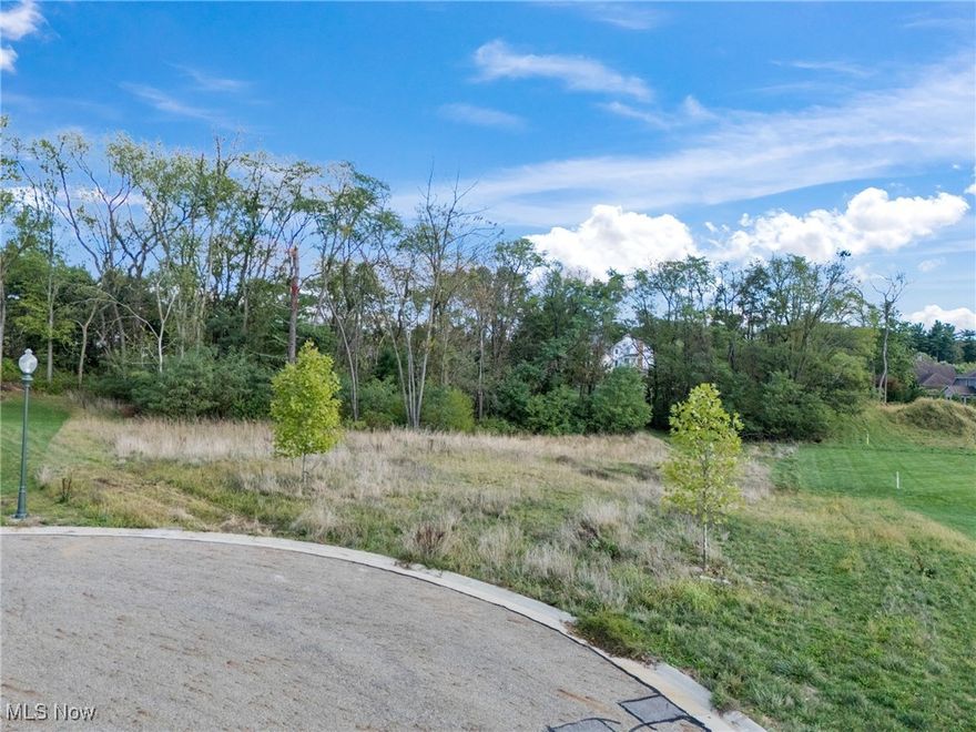 Nestled within the highly sought-after Carrington West Development, this exceptional vacant lot offers over 2 acres of prime land, ready for your dream home. Located in the award-winning Jackson Local School District, this property provides the perfect combination of convenience and prestige. Situated on a cul-de-sac, you’ll enjoy minimal traffic for anyone seeking a serene retreat.

Bring your own builder and create a custom home tailored to your vision in one of Jackson Township’s most desirable neighborhoods. Don’t miss this rare opportunity to design and build your ideal residence in Carrington West!