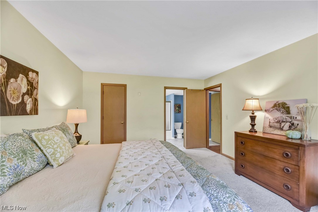 Springfield Commons - Residential