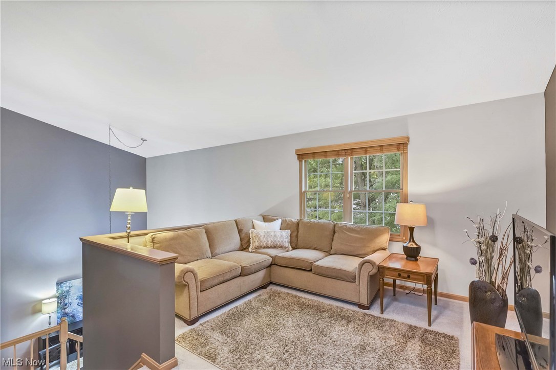 Springfield Commons - Residential