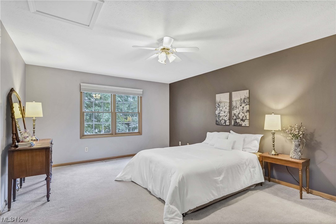 Springfield Commons - Residential