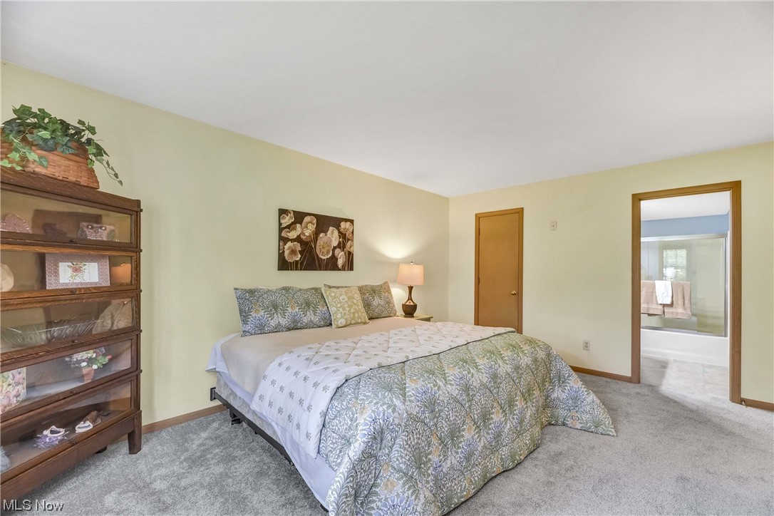 Springfield Commons - Residential