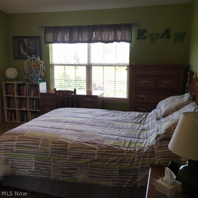 Wakefield Run Conservation - Residential