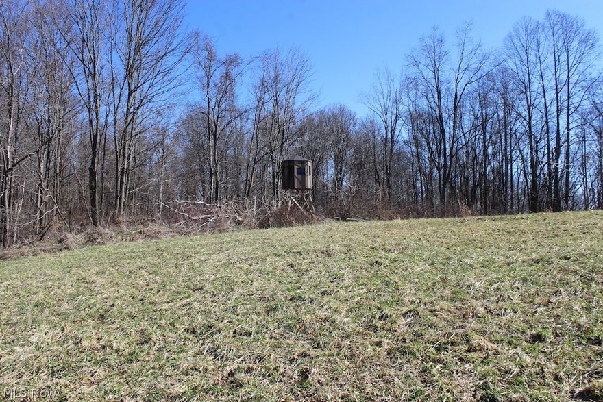 10 +/- acres in Harrison County, Ohio. This will make a great property for your weekend getaway or hunting cabin. Adjoining Muskingum Watershed property gives you direct access to public hunting land. Nice woods. Very close to Tappan Lake. Great hunting and recreational opportunities. Few restrictions. New survey will be provided. Additional acreage may be available. Oil & Gas reserved.