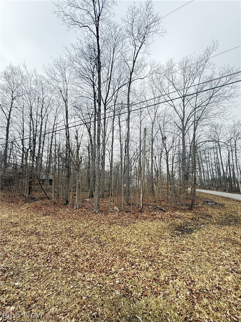 Cinnamon Lake - Land