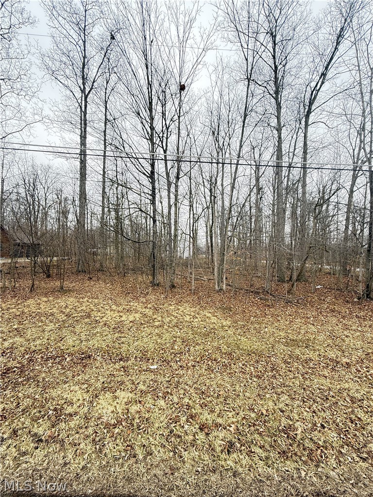 Cinnamon Lake - Land