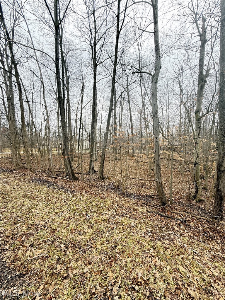 Cinnamon Lake - Land