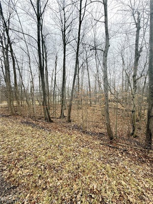 5038 MADERIA DR, WEST SALEM, OH 44287 - Image 660ae10c72bce9984998d7dfe70f1df9/3481146697