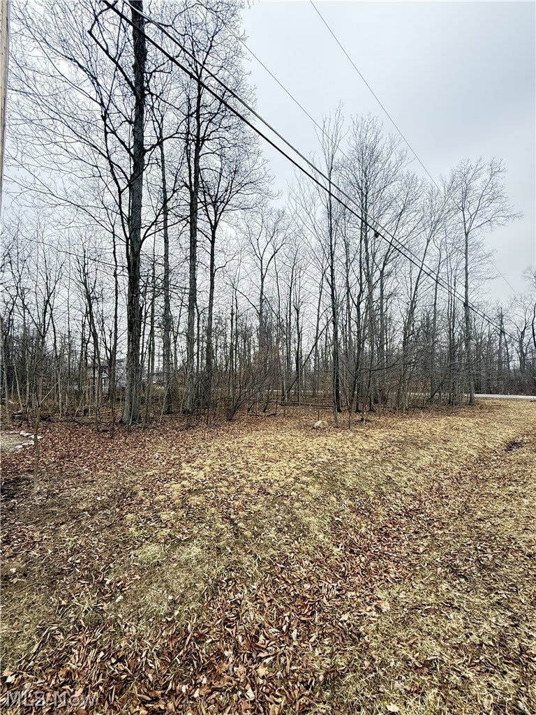 Cinnamon Lake - Land