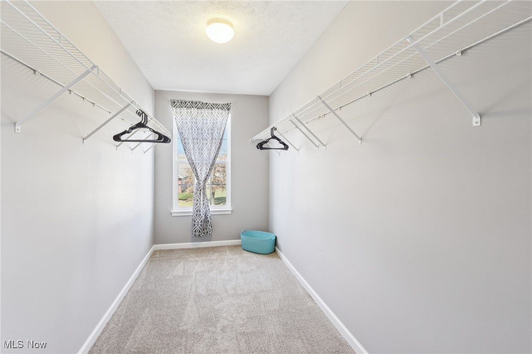 6836 Shiloh Street, Canton, Ohio image 30
