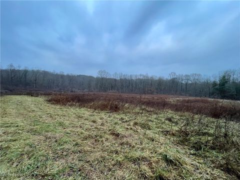 Tiny photo for 0 Endley Road, Cambridge, OH 43725 (MLS # 5178328)