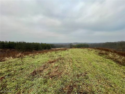 Tiny photo for 0 Endley Road, Cambridge, OH 43725 (MLS # 5178328)