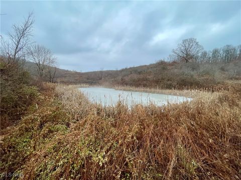 Tiny photo for 0 Endley Road, Cambridge, OH 43725 (MLS # 5178328)