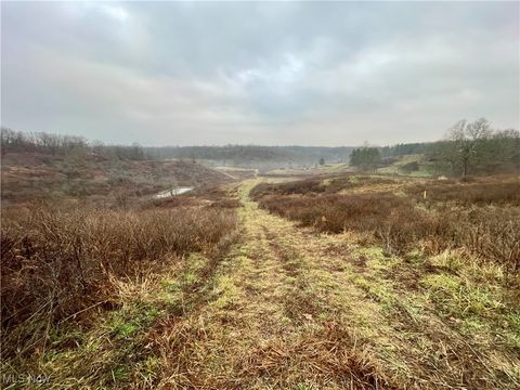 Tiny photo for 0 Endley Road, Cambridge, OH 43725 (MLS # 5178328)