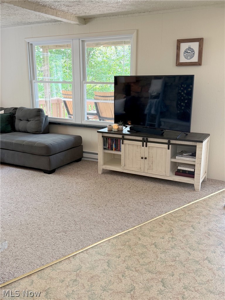 Lake Mohawk Property Owners - Residential