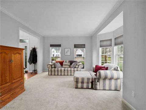 Tiny photo for 9729 Brook Road, Olmsted Falls, OH 44138 (MLS # 5178988)