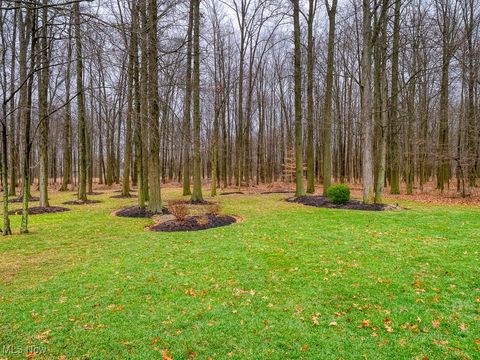 Tiny photo for 9729 Brook Road, Olmsted Falls, OH 44138 (MLS # 5178988)