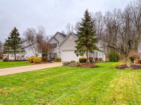 Tiny photo for 9729 Brook Road, Olmsted Falls, OH 44138 (MLS # 5178988)