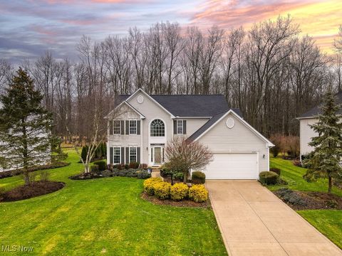 9729 Brook Road Olmsted Falls OH 44138