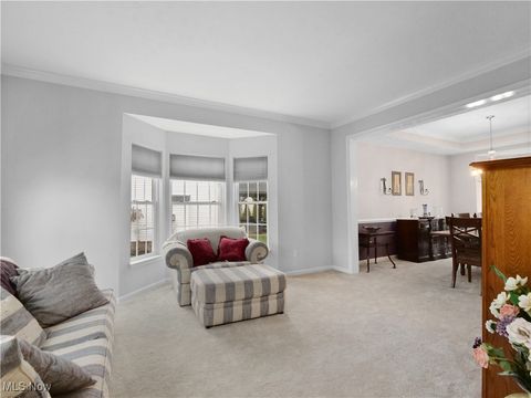 Tiny photo for 9729 Brook Road, Olmsted Falls, OH 44138 (MLS # 5178988)