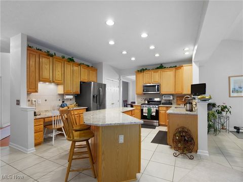 Tiny photo for 9729 Brook Road, Olmsted Falls, OH 44138 (MLS # 5178988)