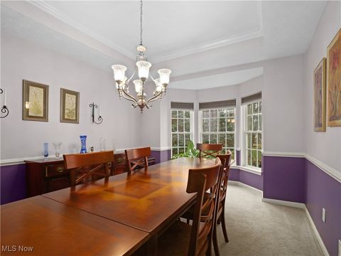 Tiny photo for 9729 Brook Road, Olmsted Falls, OH 44138 (MLS # 5178988)