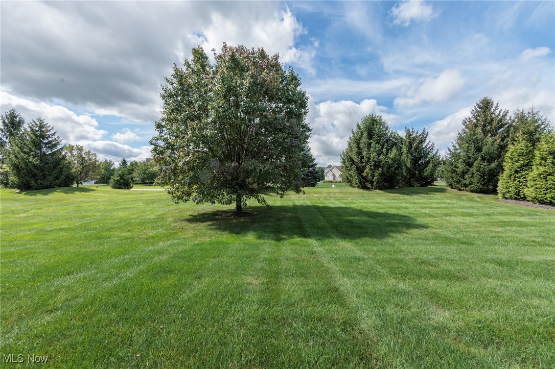 Fox Meadow - Residential