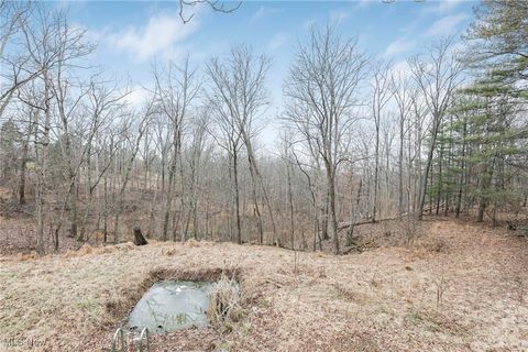 Tiny photo for 232 McGill Road, Vincent, OH 45784 (MLS # 5179968)