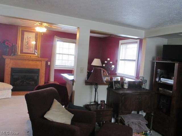 D E & J C Metzler 02 - Residential