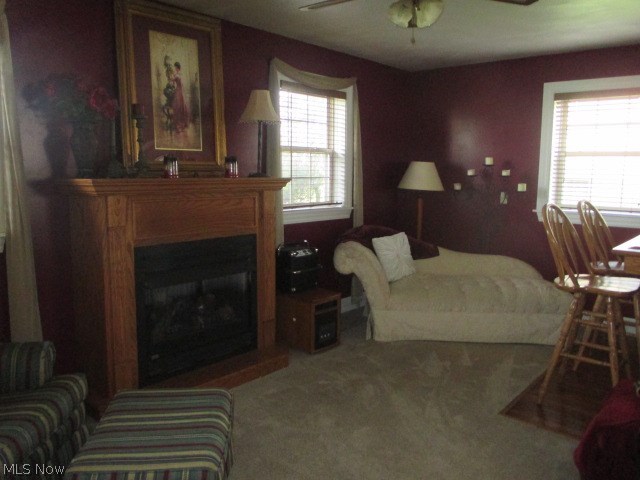 D E & J C Metzler 02 - Residential